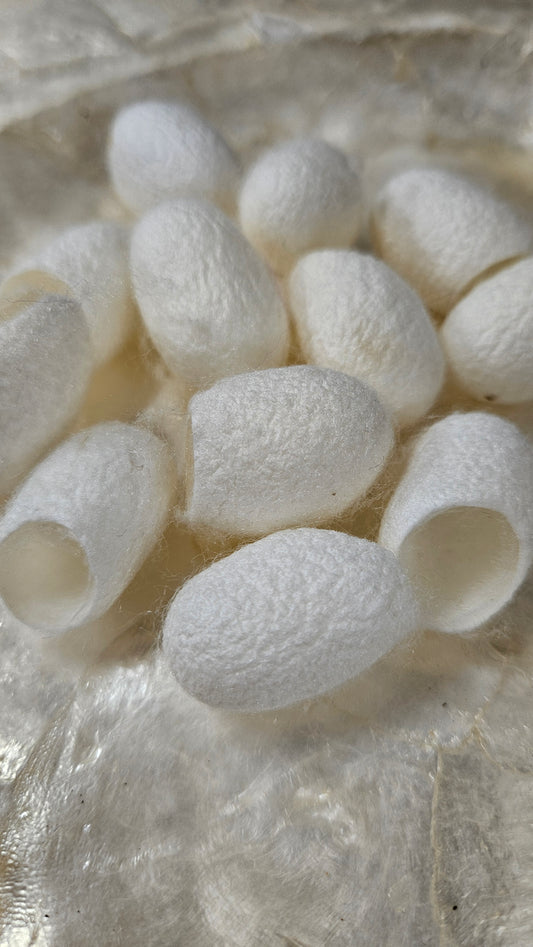 Natural Silk Cocoon Effects - White 24 pc