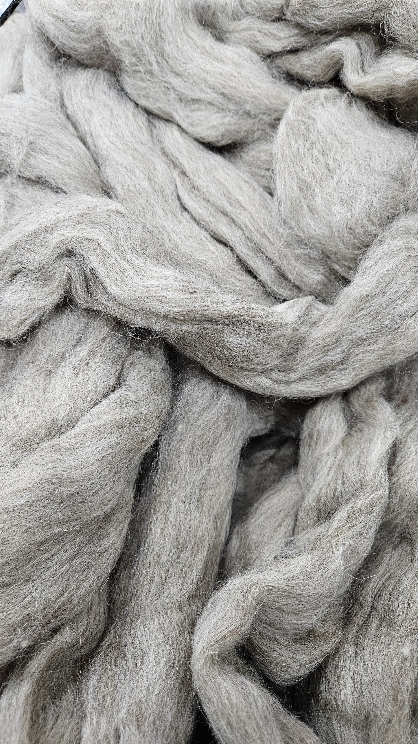SHETLAND - Natural Wool Top Beginner Spinning Felting Carding Dyeing - 6 oz Grey