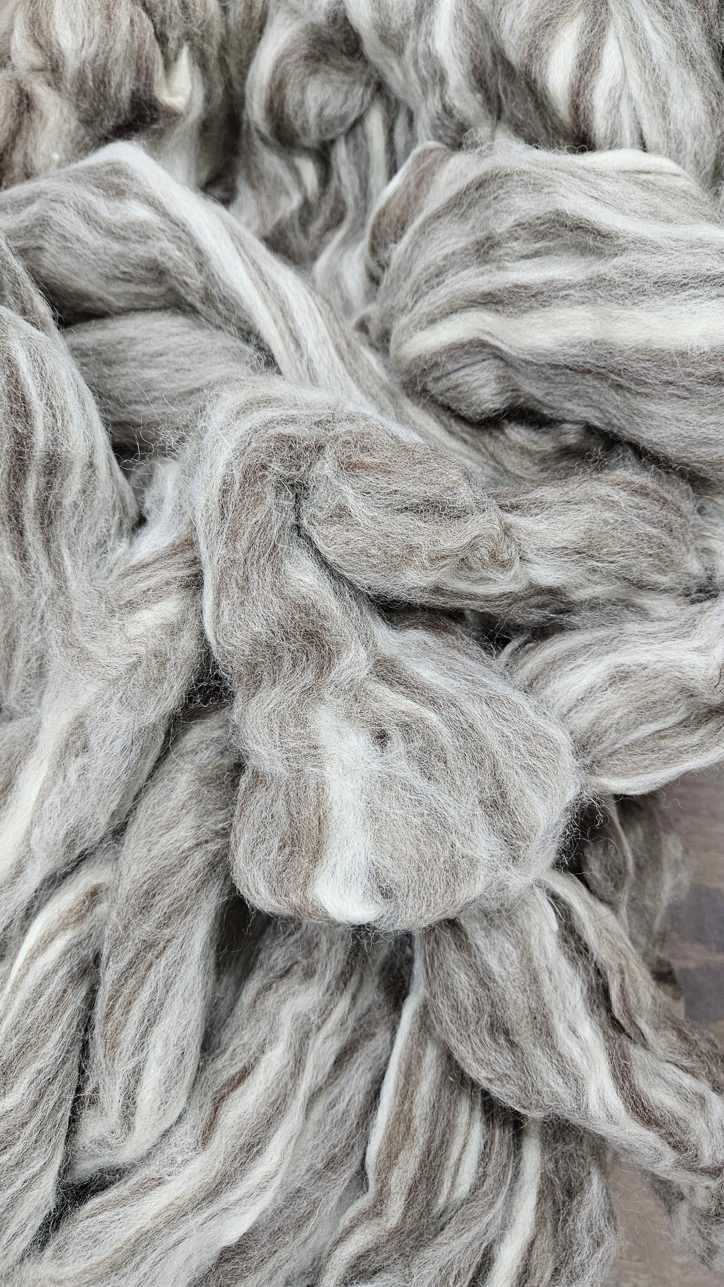 BLUE FACED LEICESTER (BFL) - Natural Wool Top Beginner Spinning Felting Carding Dyeing - 8 oz Grey White