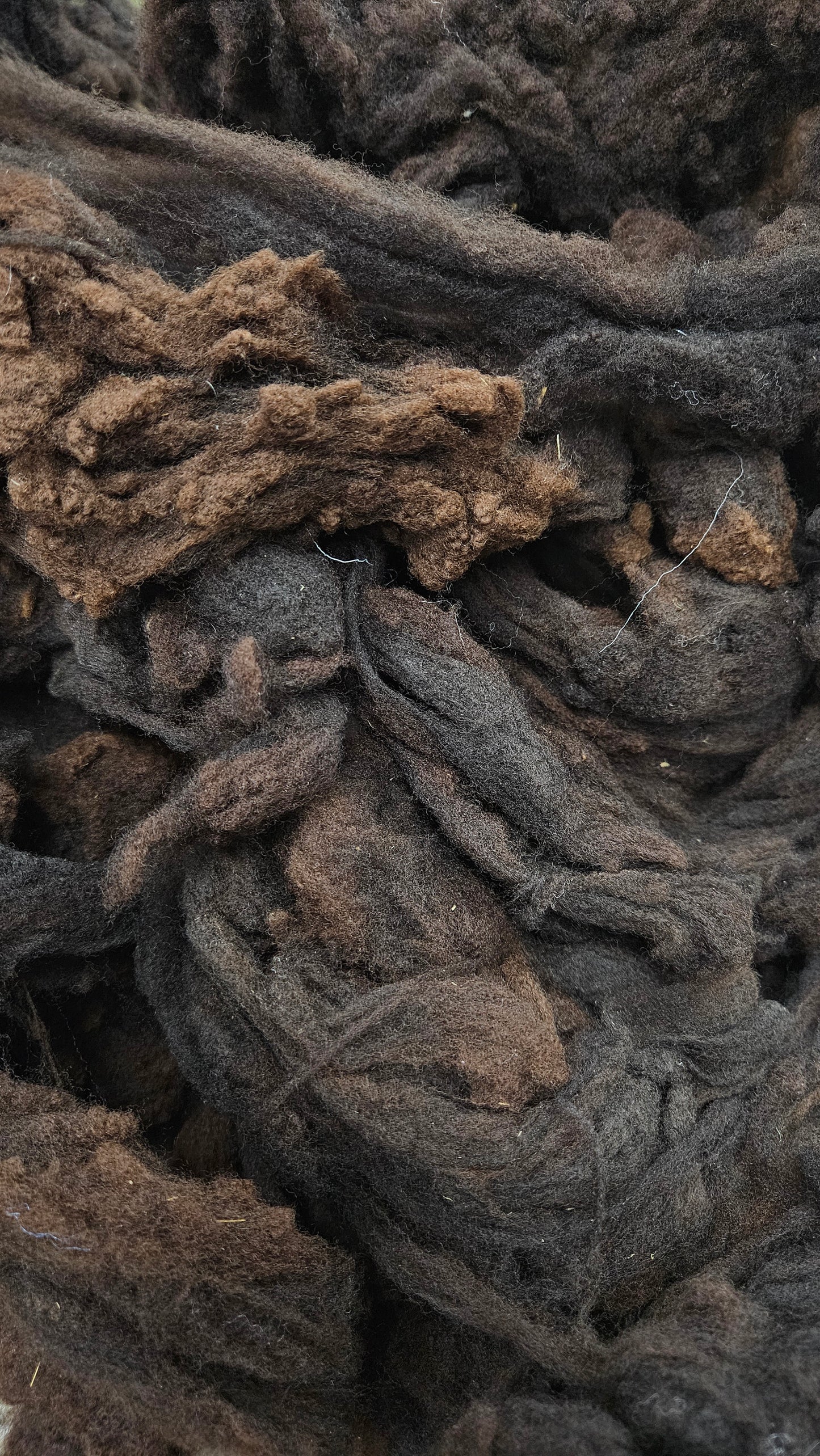 RAMBOUILLET - Washed Fine Wool Fleece Natural Dark Mahogany French Merino - 4 oz