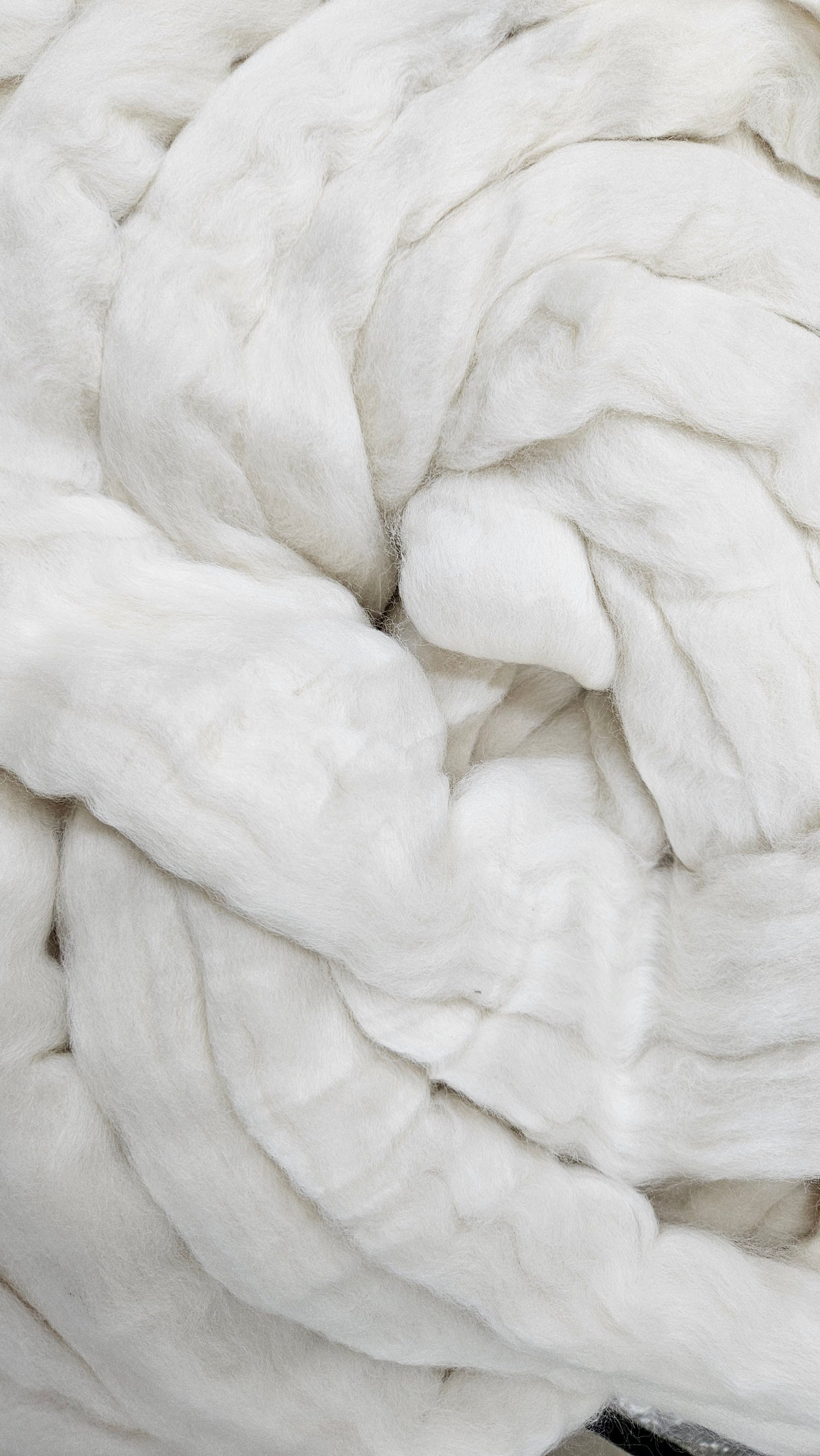 ORGANIC MERINO - Natural Wool Top Beginner Spinning Felting Carding Dyeing - 6 oz White