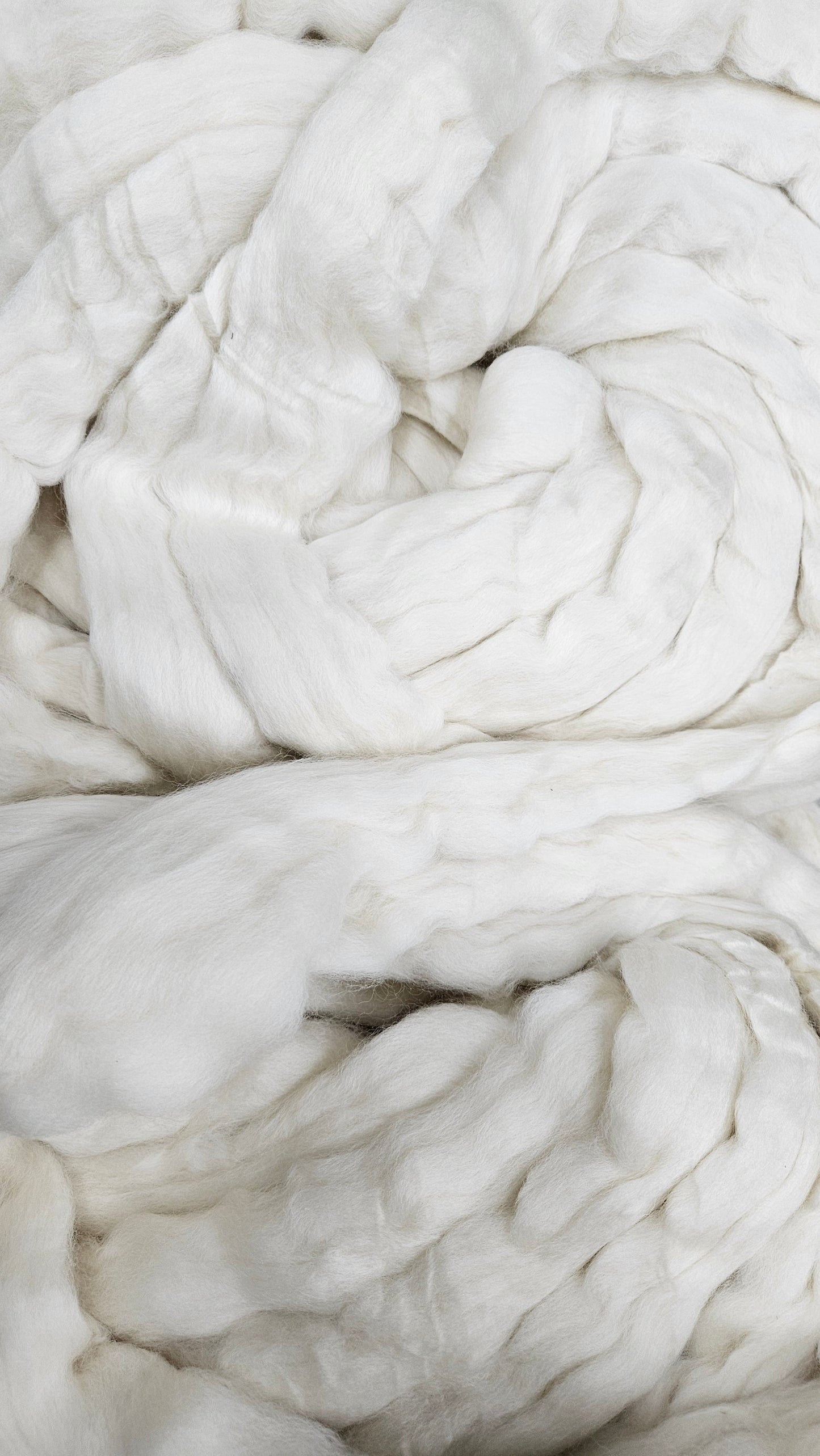 ORGANIC MERINO - Natural Wool Top Beginner Spinning Felting Carding Dyeing - 6 oz White