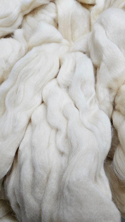 BLUE FACED LEICESTER (BFL)- Natural Wool Top Beginner Spinning Felting Carding Dyeing - 6 oz White