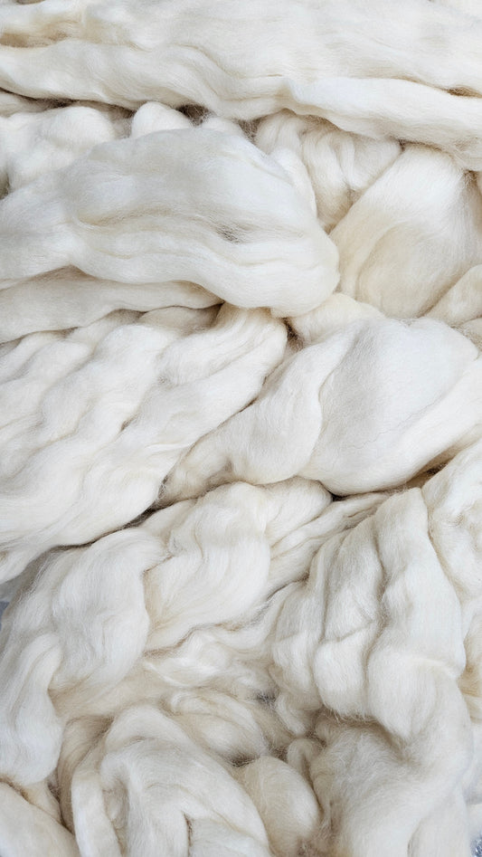 BLUE FACED LEICESTER (BFL)- Natural Wool Top Beginner Spinning Felting Carding Dyeing - 6 oz White