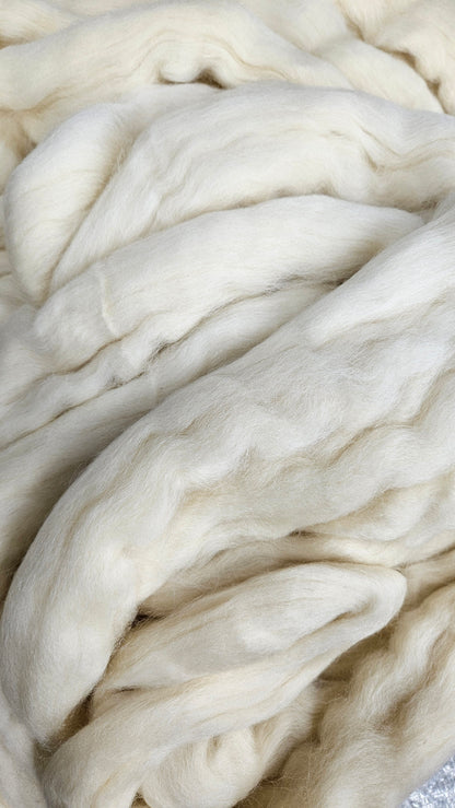 SHETLAND - Natural Wool Top Beginner Spinning Felting Carding Dyeing - 6 oz White