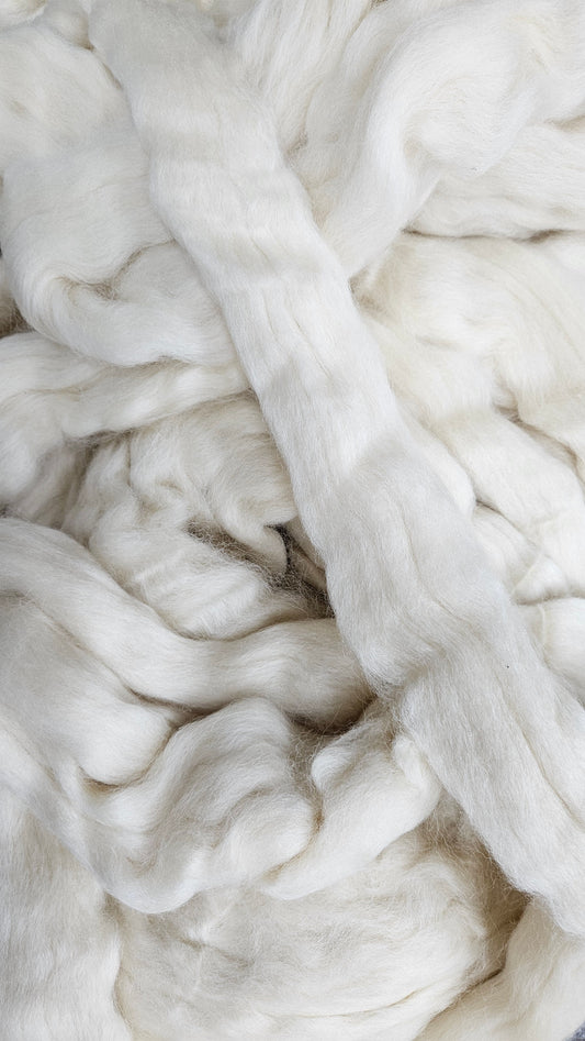SHETLAND - Natural Wool Top Beginner Spinning Felting Carding Dyeing - 6 oz White