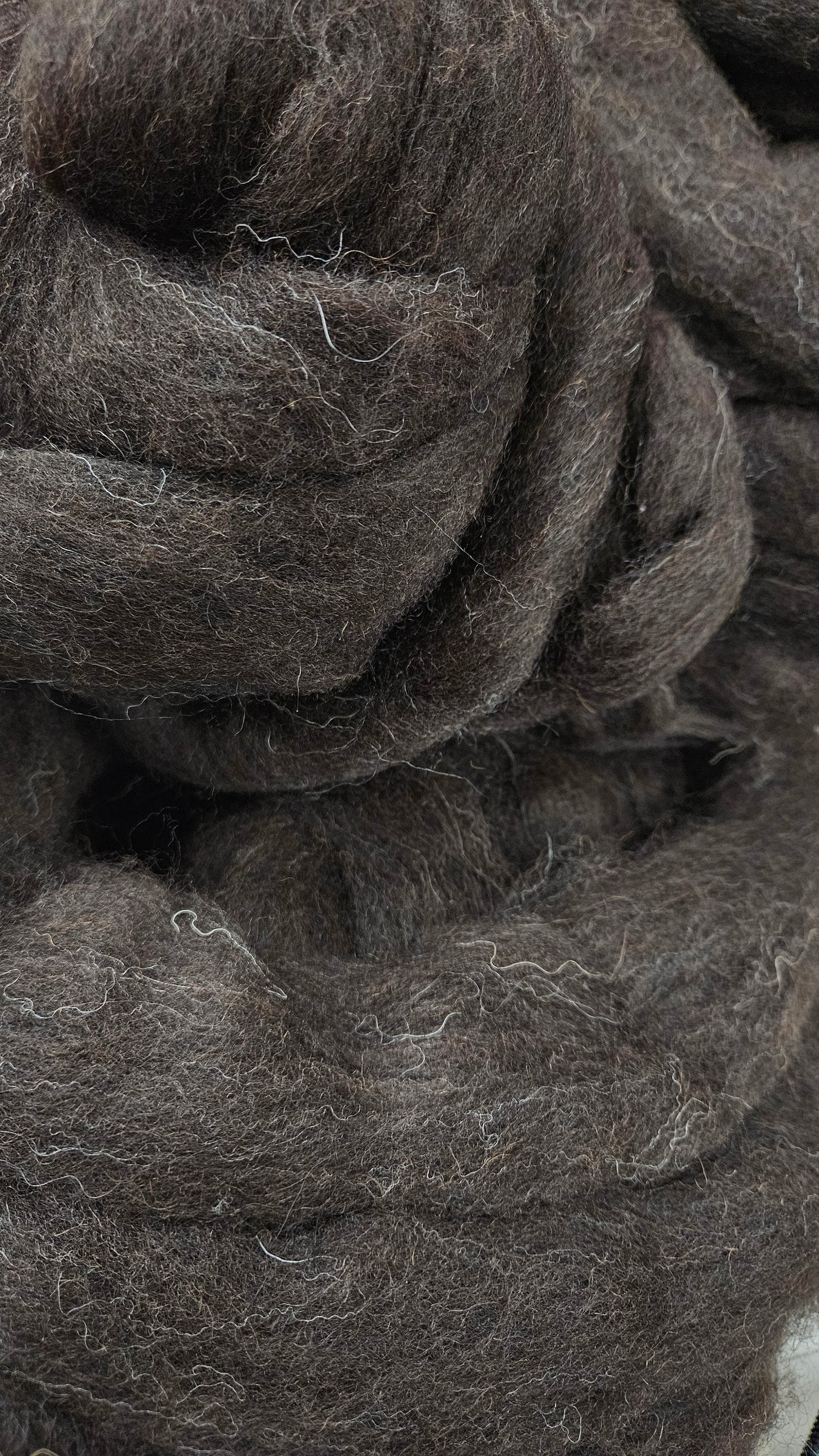 SHETLAND - Natural Wool Top Beginner Spinning Felting Carding Dyeing - 6 oz Brown