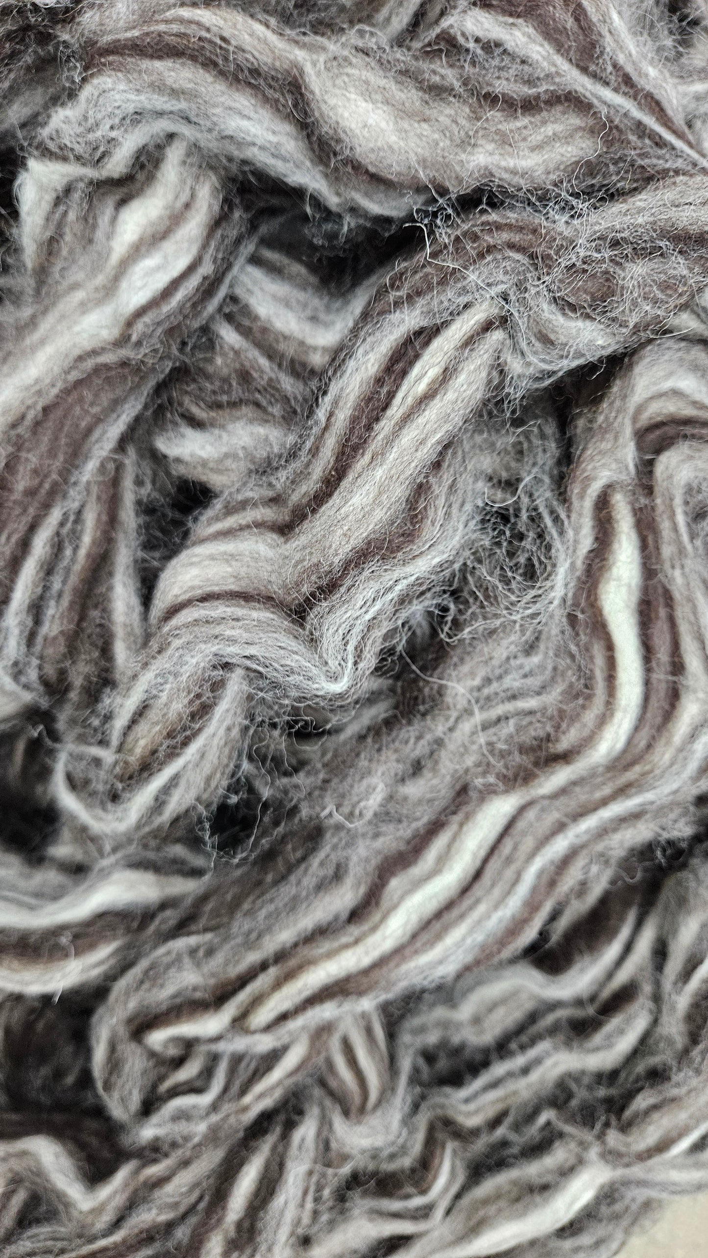 JACOB - Natural Wool Top Beginner Spinning Felting Carding Dyeing - 6 oz Brown White